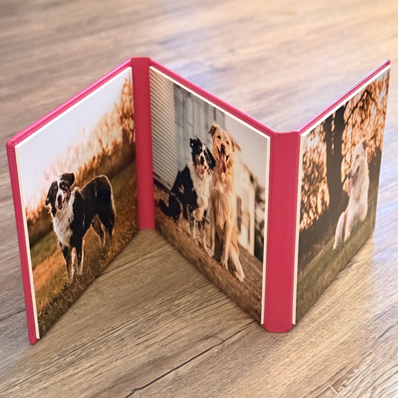 A pink accordion mini album standing open with three dog portraits